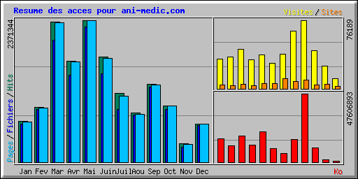 Resume des acces pour ani-medic.com